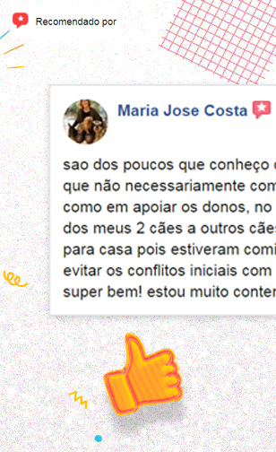 abana a cauda
