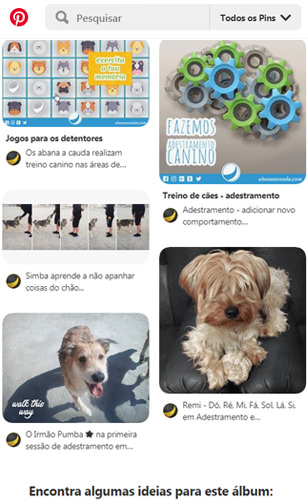 abana a cauda