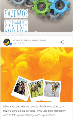 abana a cauda