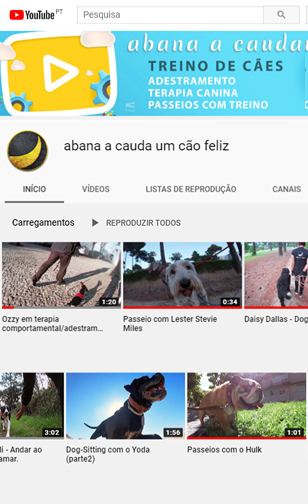 abana a cauda
